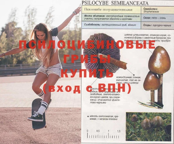 Альфа ПВП Белоозёрский