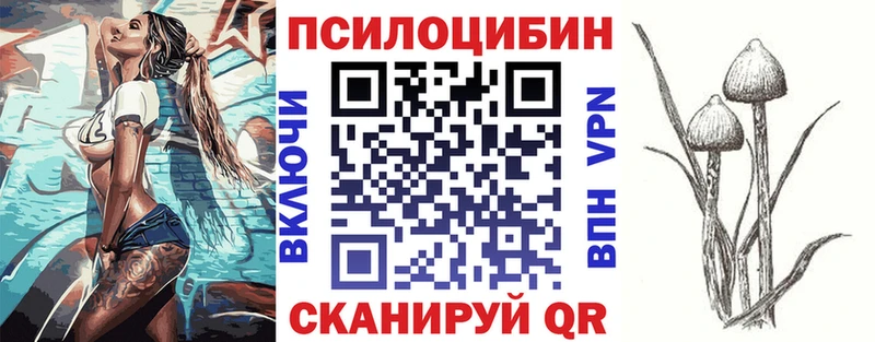 сайты даркнета клад  Пионерский  Псилоцибиновые грибы Psilocybine cubensis  продажа наркотиков 