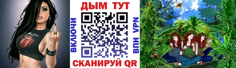 Каннабис SATIVA & INDICA Пионерский